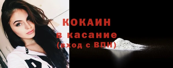 соль ск Богородск