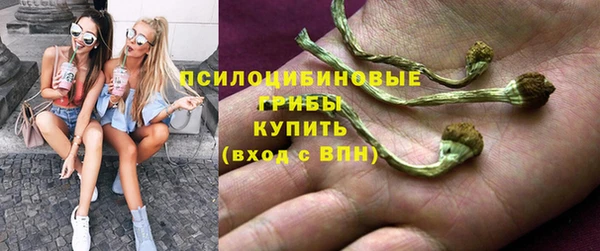 Альфа ПВП Богданович