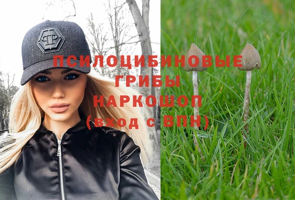 Альфа ПВП Богданович