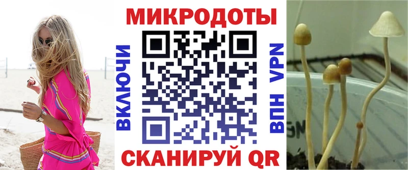 Галлюциногенные грибы Cubensis  Комсомольск 